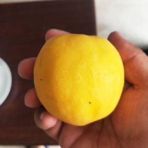 黃金蜜一號