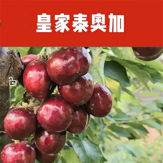 戳我试试