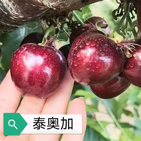 戳我试试