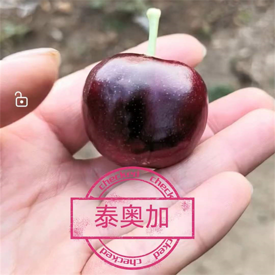 戳我试试