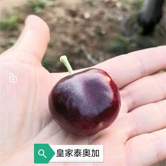 戳我试试