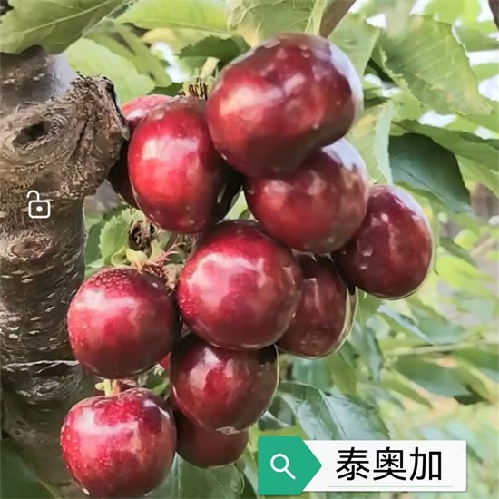 戳我试试